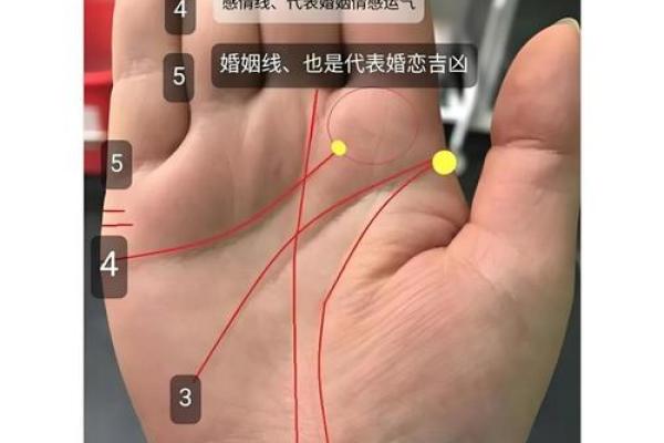 一掌掌握命运：五宫手相教你洞悉人生轨迹！