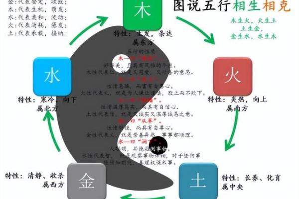 如何理解地支申金图解的内涵