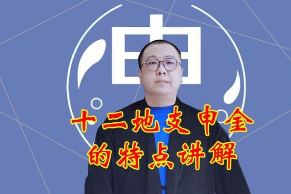 如何理解地支申金图解的内涵