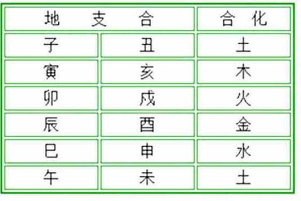 从地支看的运程