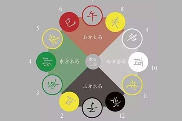 从地支看的运程