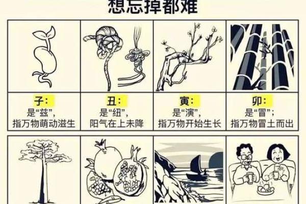 探索地支丑与申的相互作用