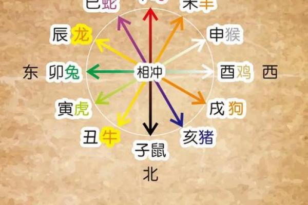 地支时辰与五行的奇妙关联