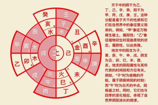 五行中的化五行属性分析
