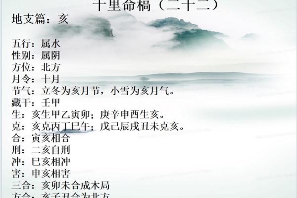 地支穿亥对命运的影响探讨