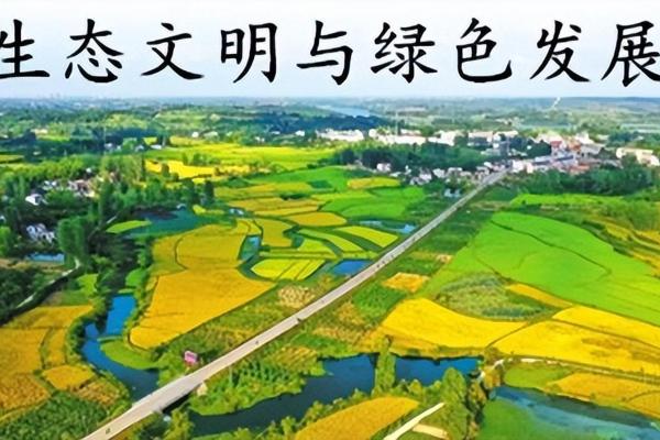 恒信能源推动绿色革命