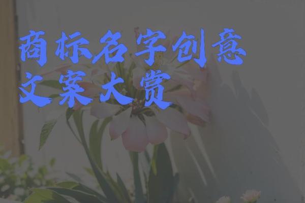 个性化公司名称创意指南 让品牌独树一帜