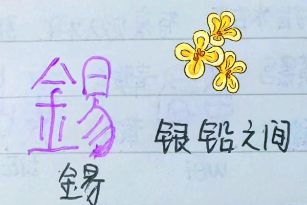 解密兰字在五行中的独特位置
