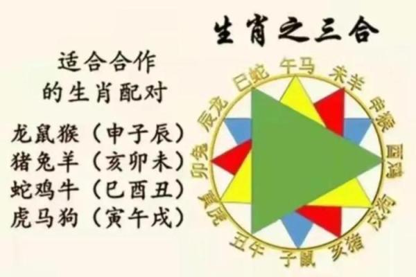 地支卯申合的奥秘与解析