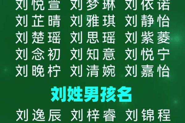 姓名重塑：刘姓如何通过改名焕发新生＿
