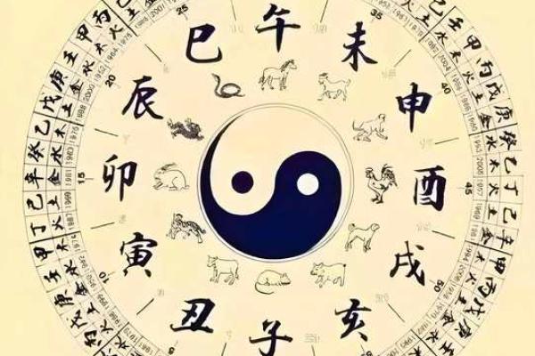 地支暗藏歌：揭示十二地支的神秘密码