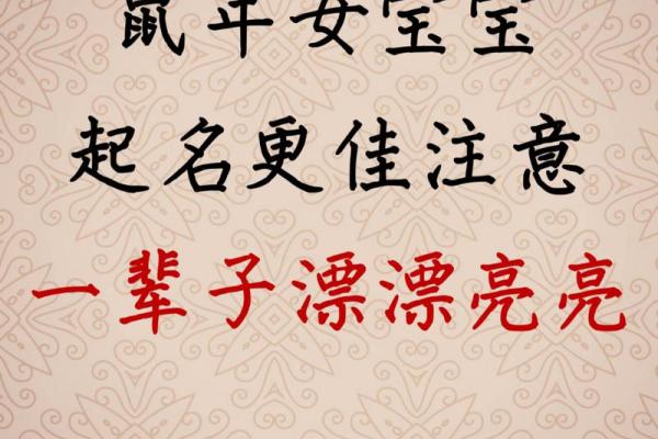 鼠宝宝取名：传统文化与现代审美相结合