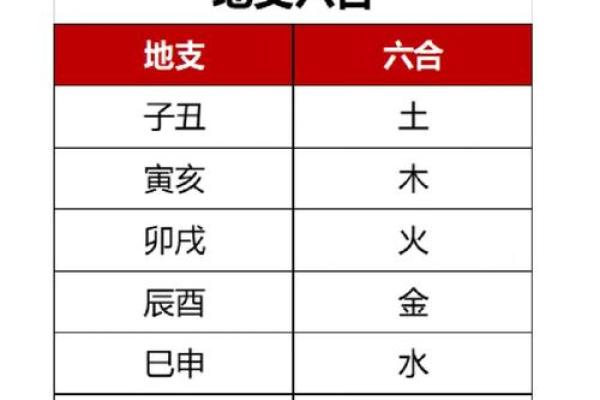 亥地支与生肖猪的关系分析