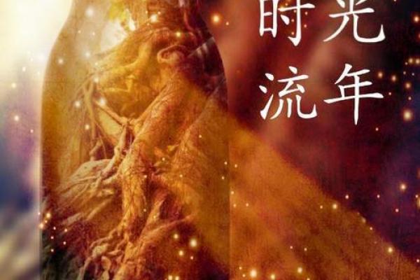 锦绣未来，睿智人生
