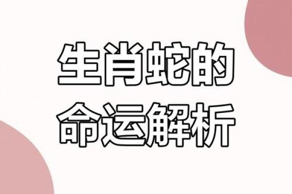 属蛇人在的爱情运势如何