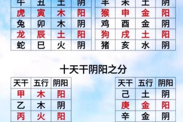 地支阴阳属性的形成与文化背景