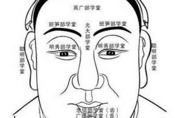 眼尾低垂面相：揭示命运沉浮的神秘线索