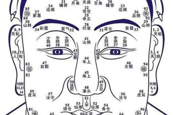 面部风水学：揭示面相与运势的神秘联系