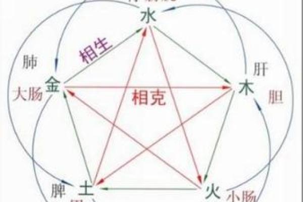 探讨风与五行之间的关系