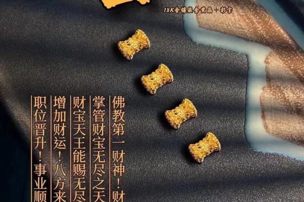 玄关聚财神器，财运亨通秘籍大公开