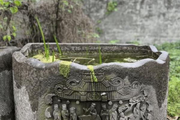 石缸风水宝地，家居运势翻倍神器