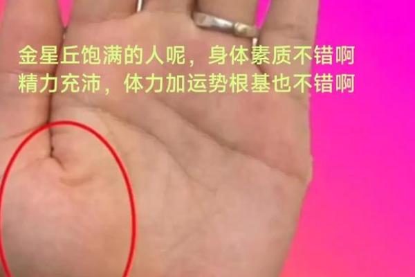 手相中的华盖纹，揭秘你的非凡命运！