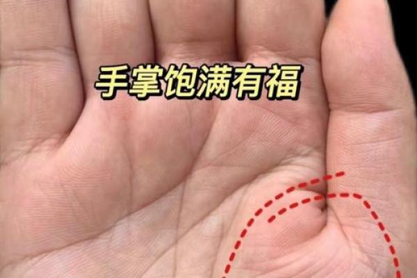 手相中的华盖纹，揭秘你的非凡命运！