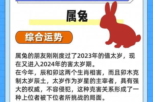 87年兔年运势大揭秘：财运亨通，爱情甜蜜，事业辉煌