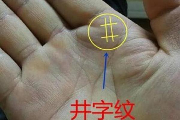 掌中密码：揭秘x纹手相的神奇力量