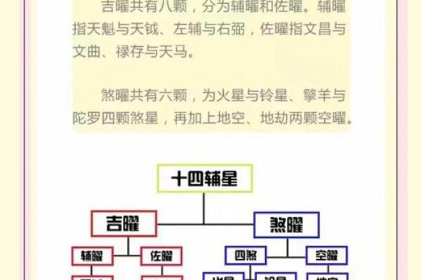 命运长河：揭秘命理与长生的奥秘联系