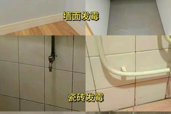 卧室屋顶墙面发霉风水解析：影响运势还是吉兆？