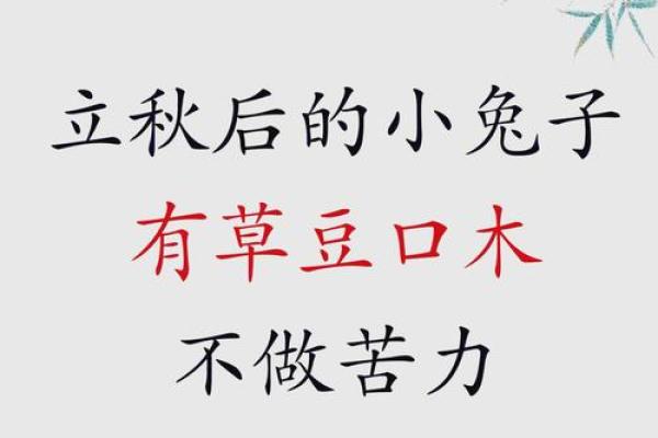 立秋宝宝，独特好名字