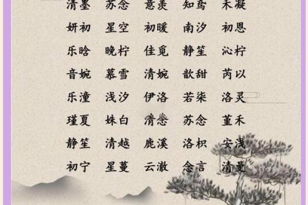 新华字典里的智慧宝宝取名