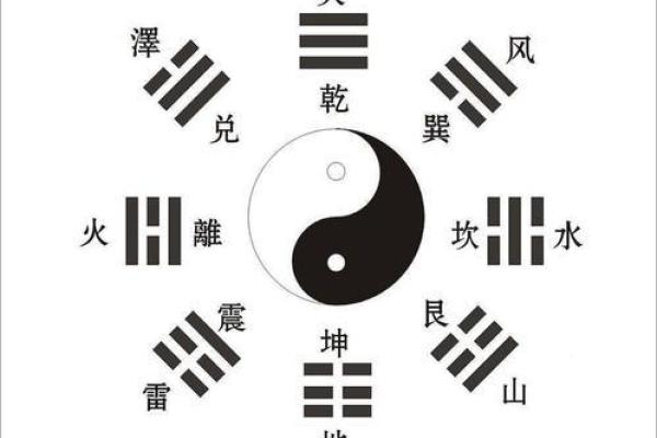 一窥天机：命理大师带你破解命运之谜