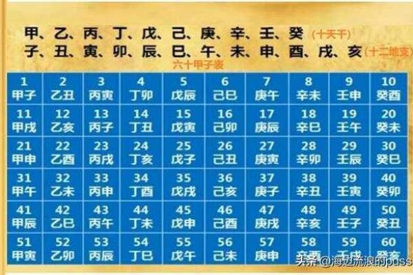 十天干十二地支发音全解析