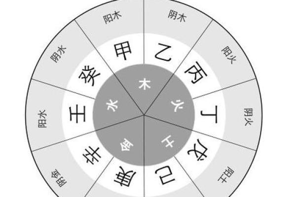 十天干十二地支发音全解析