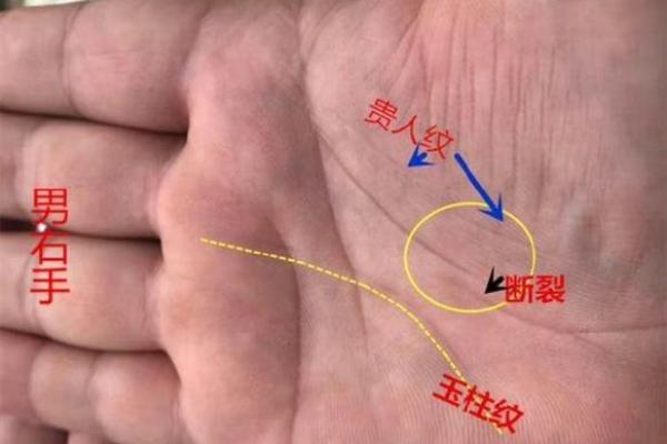 手上藏福，一招教你识享福手相