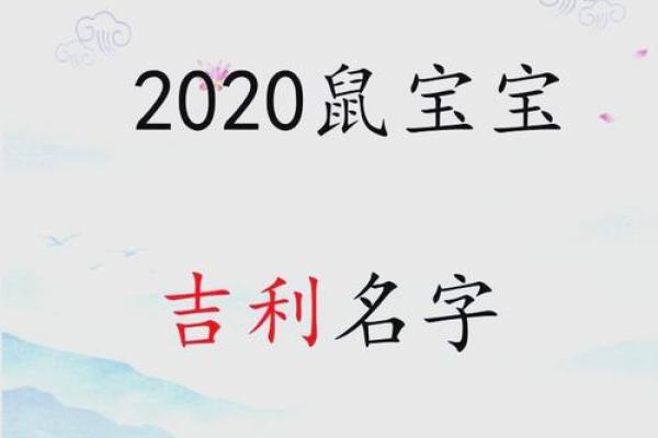肖姓鼠宝宝：寓意吉祥的名字推荐