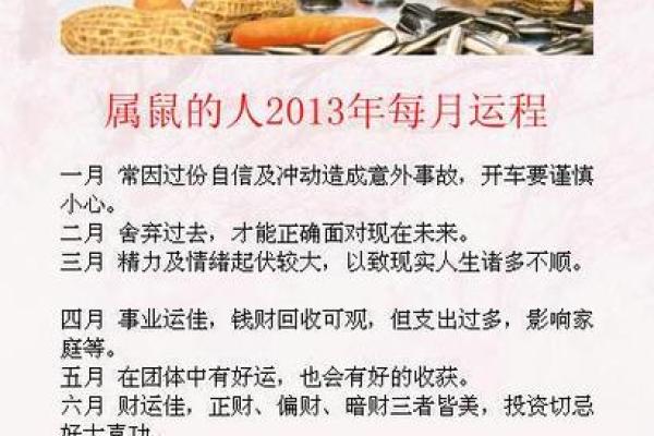 了解属鼠今日运势的关键