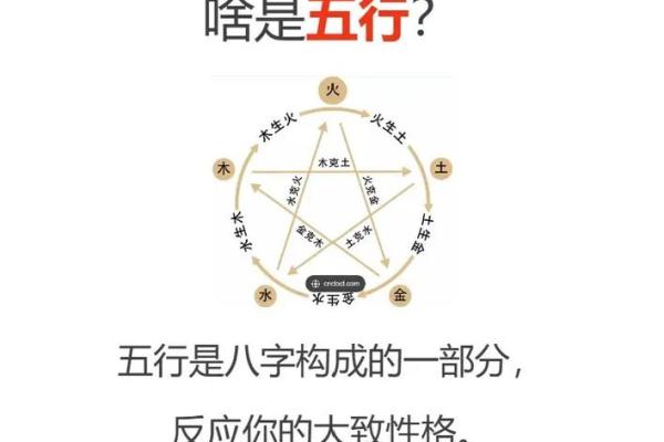 免费测试你的五行，看看缺什么