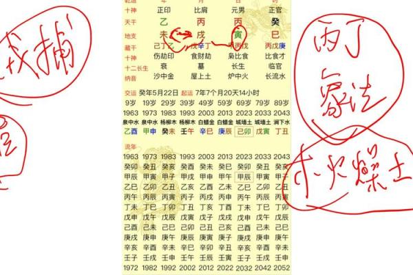 探讨地支中的丁火藏象