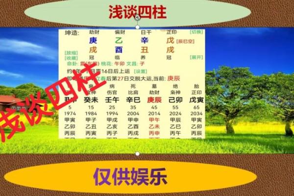 辛丑年地支对中国命理学的影响