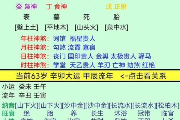 辛丑年地支对中国命理学的影响