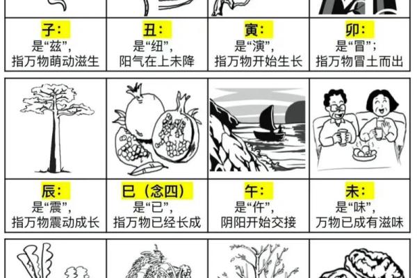 探索天干地支组合与命理的关系