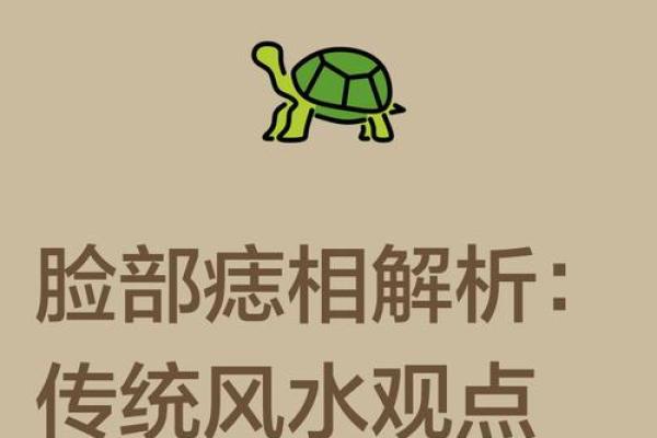 神秘痣相揭秘：田它宫的运势密码
