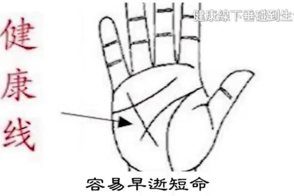 漫步撒哈拉：手相揭秘异国爱人命运