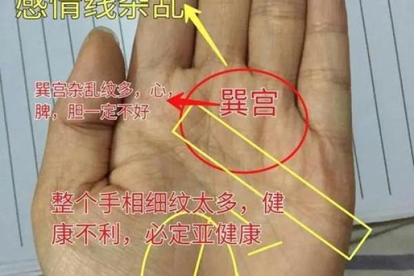 漫步撒哈拉：手相揭秘异国爱人命运