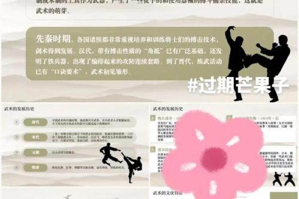 李连心：融合武术精神与文雅气质，命运多舛却终成传奇的名字解析
