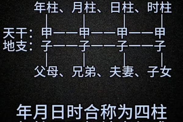 从易经视角解析十二地支的命理作用