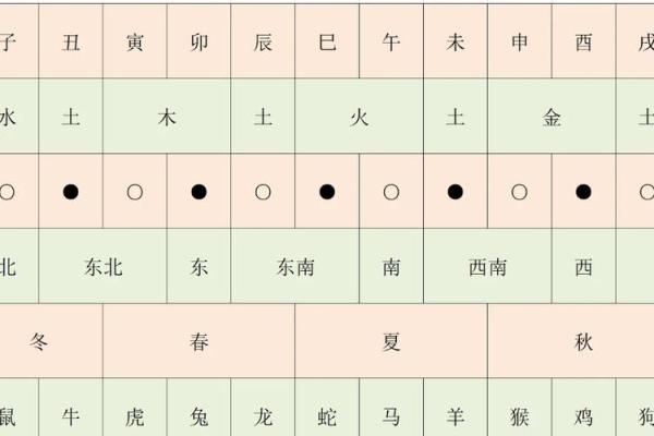 从易经视角解析十二地支的命理作用